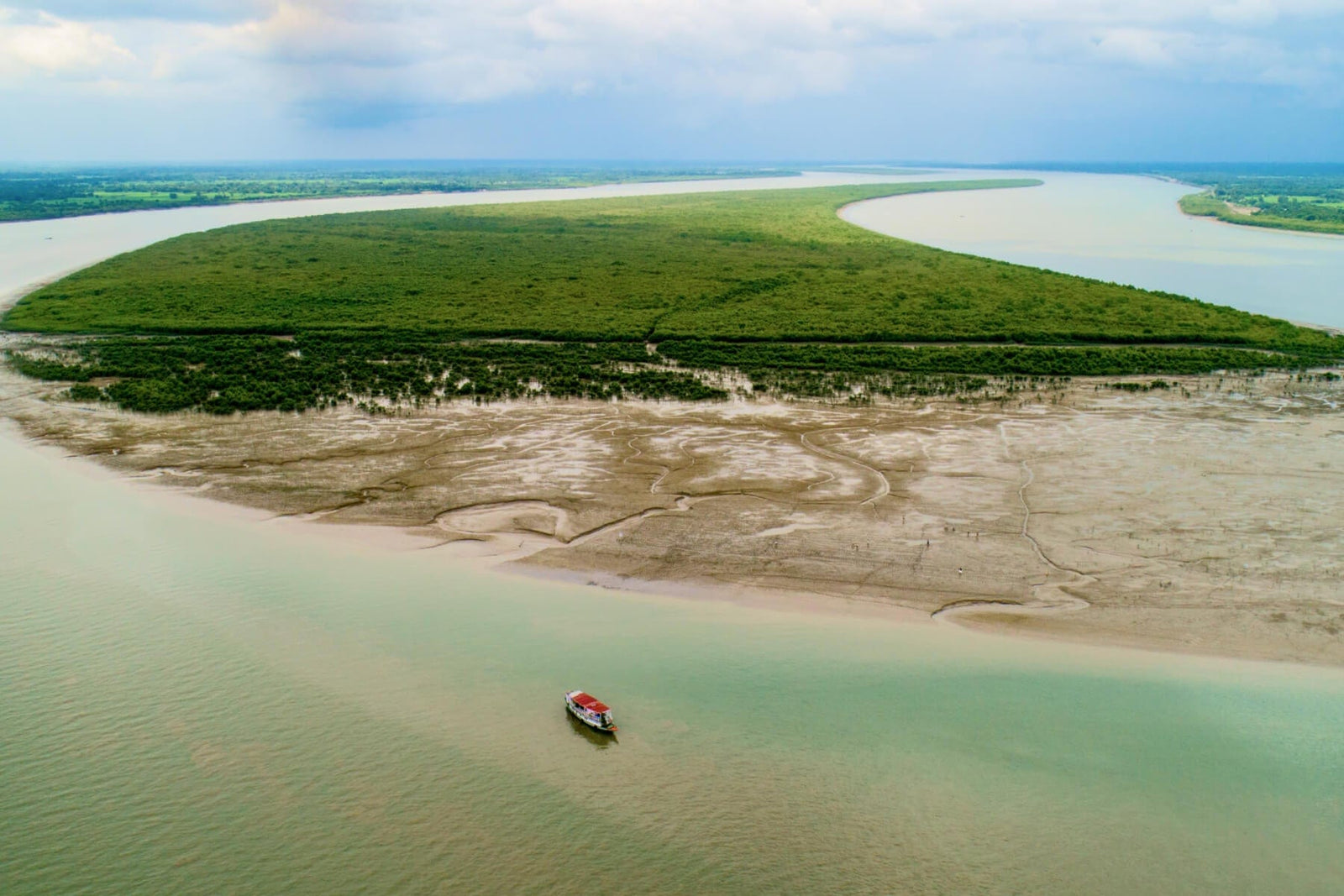 India mangroves landscape