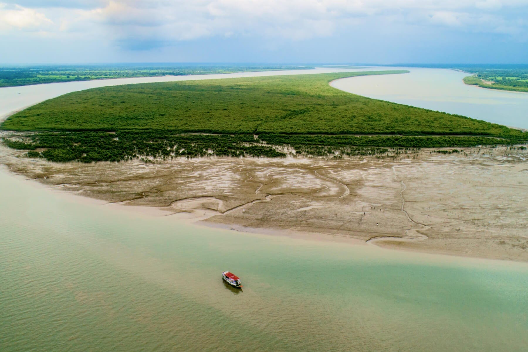 India mangroves landscape