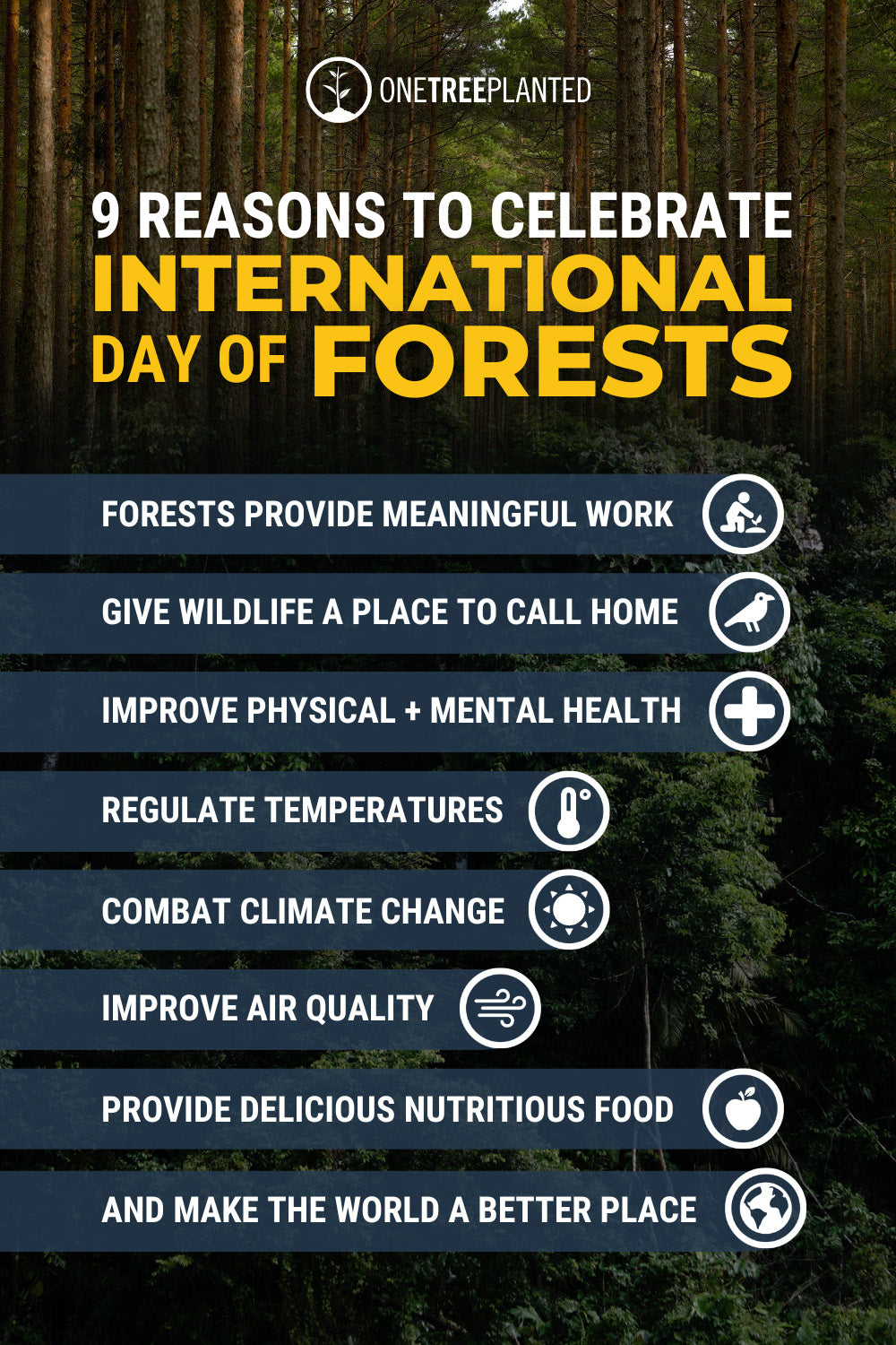 9 Reasons to Celebrate International Day of Forests