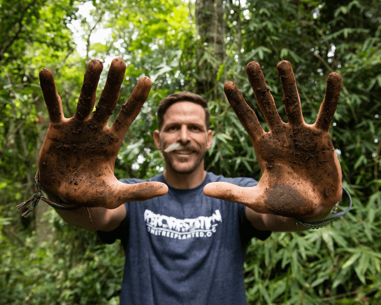 Tree planting hands