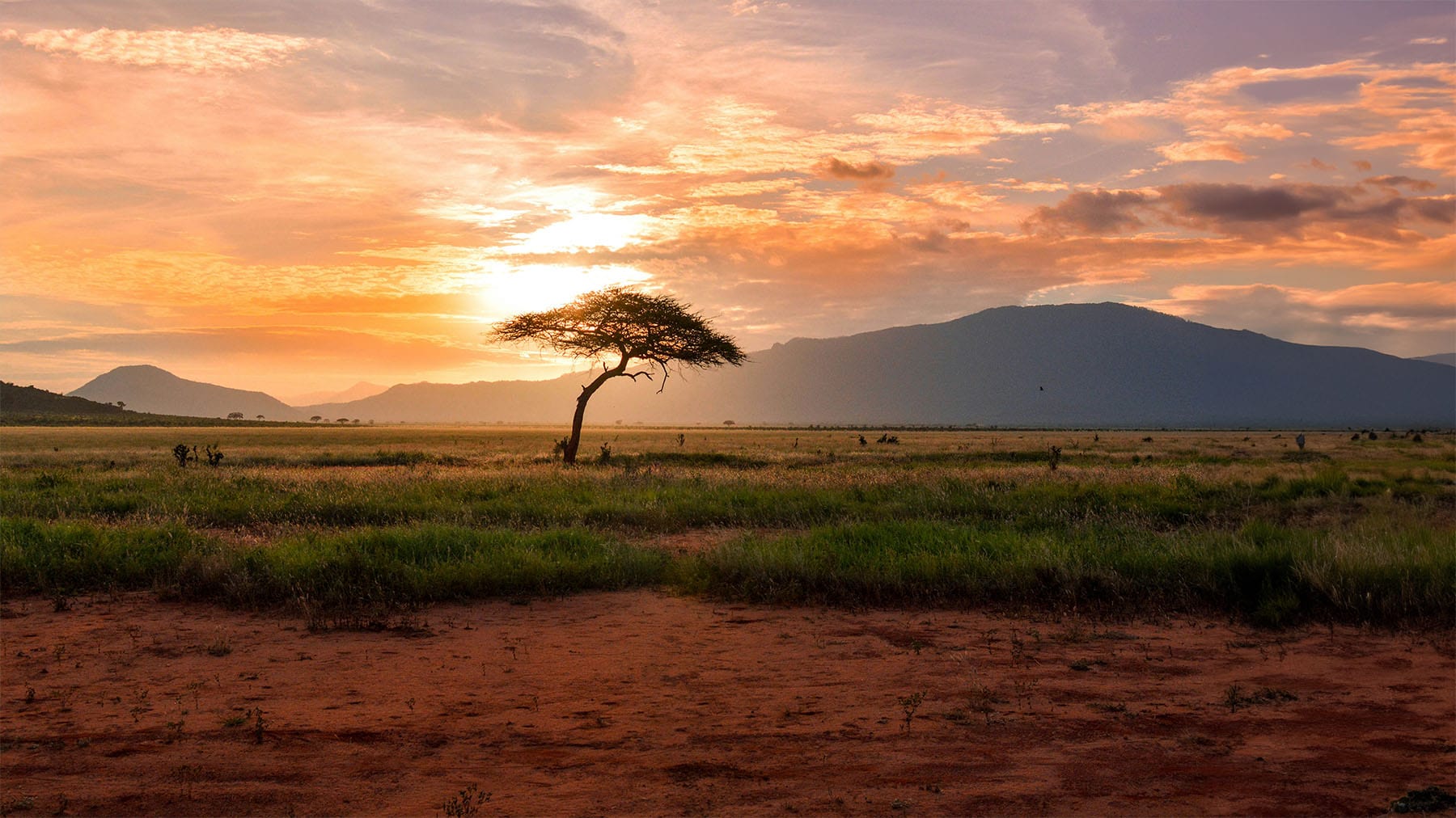 Kenya landscape