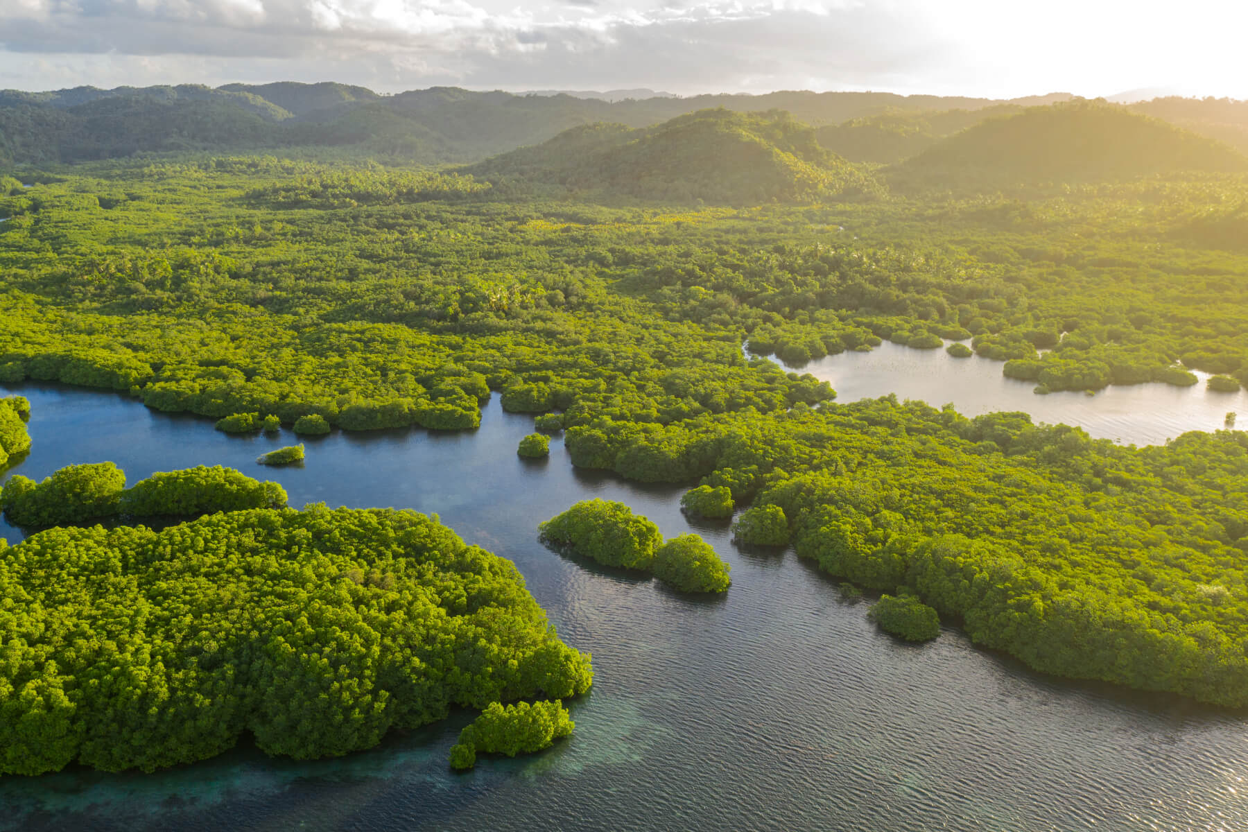 Latin America landscape