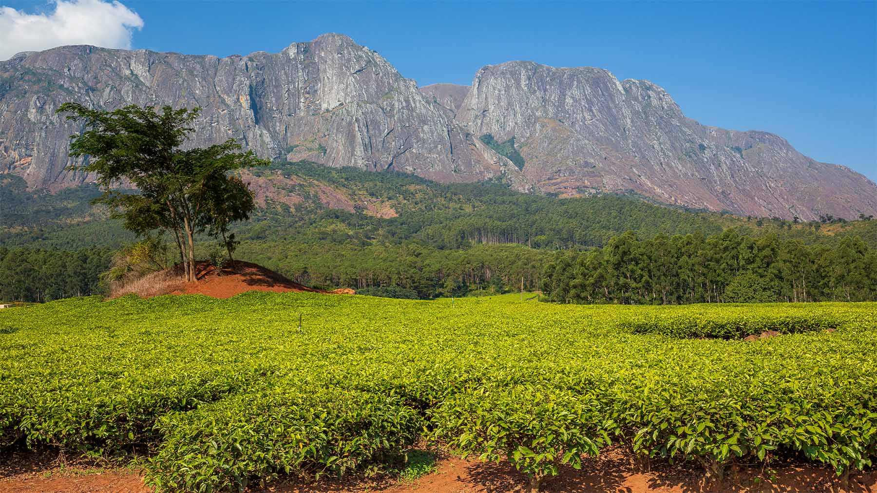 Malawi landscape