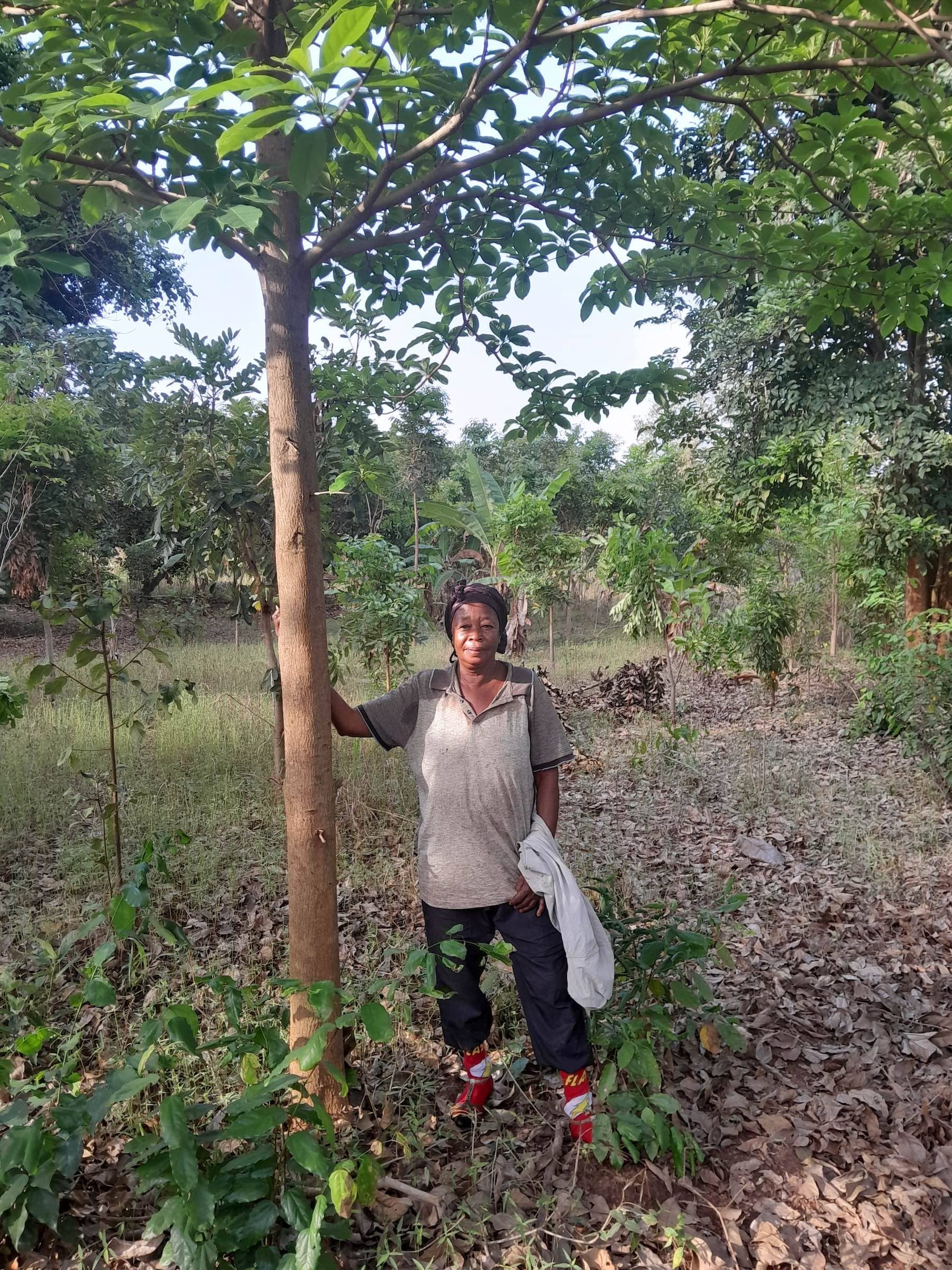 Woman standing by a tree on her farm in Ghana, where she planted trees