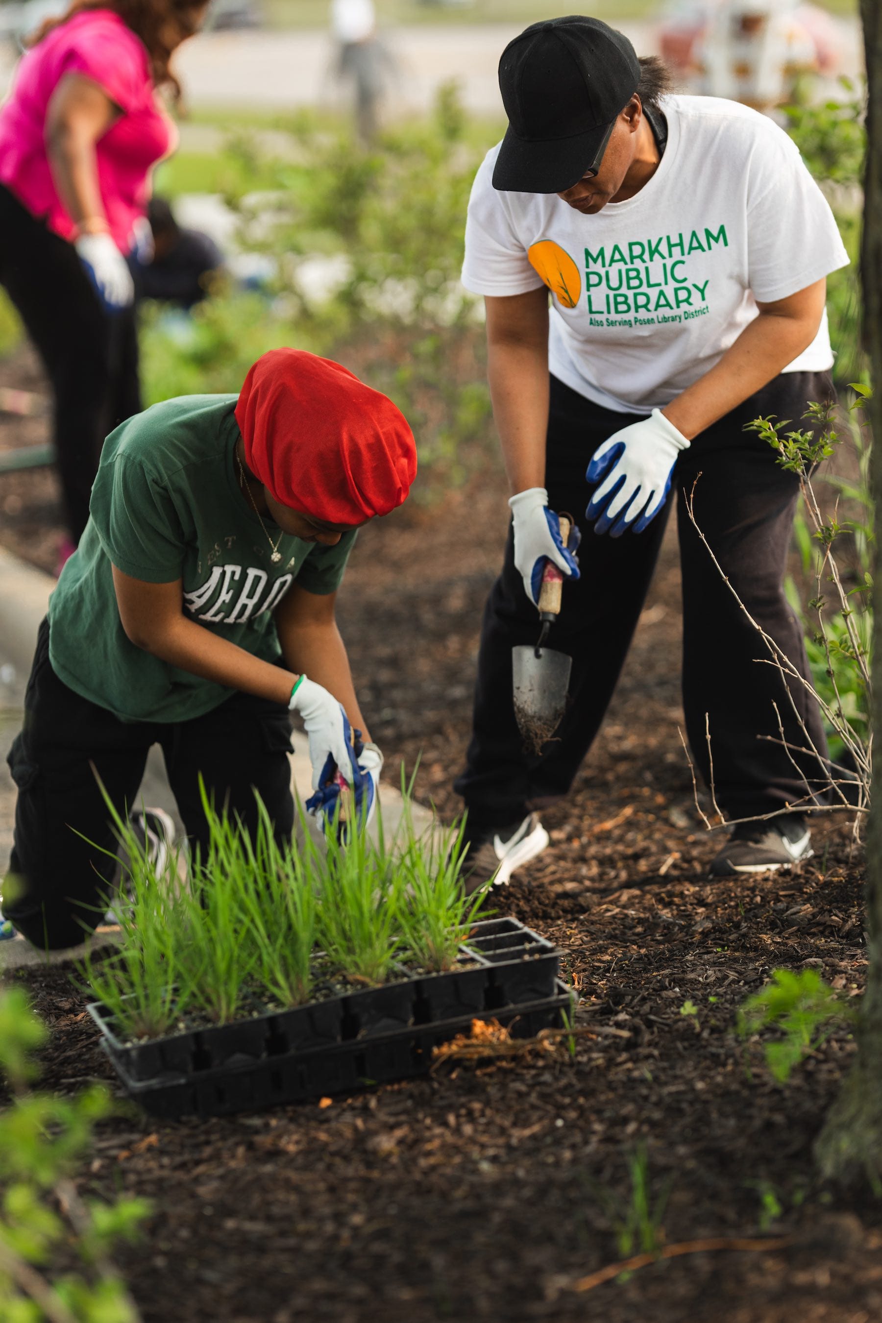 Two people planting trees, one wearing a Markham Public Library shirt, in an outdoor setting.
