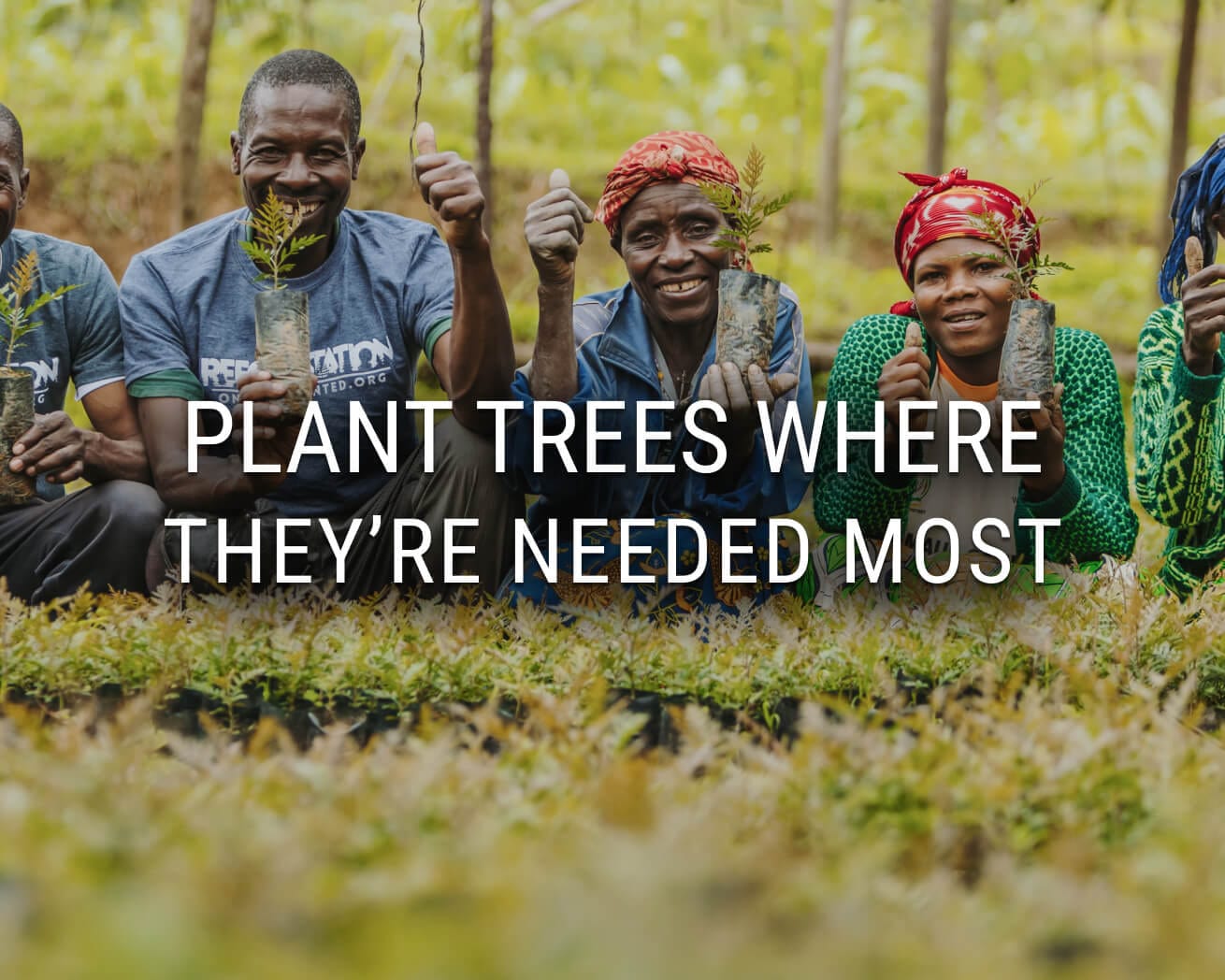 Plant Trees in India | One Tree Planted