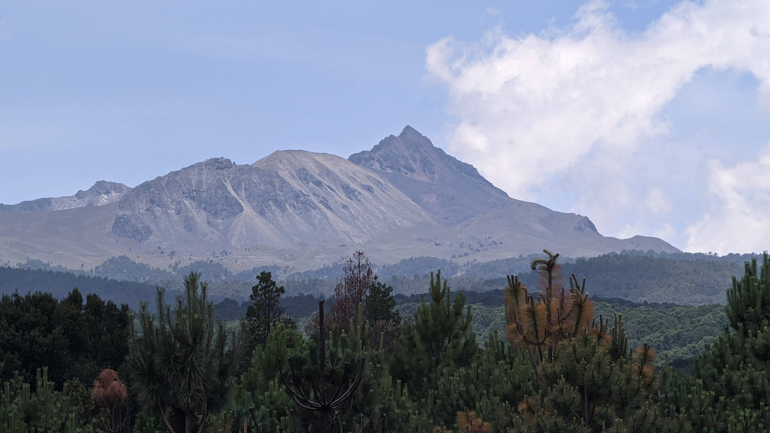 Mexico mountain and cactus