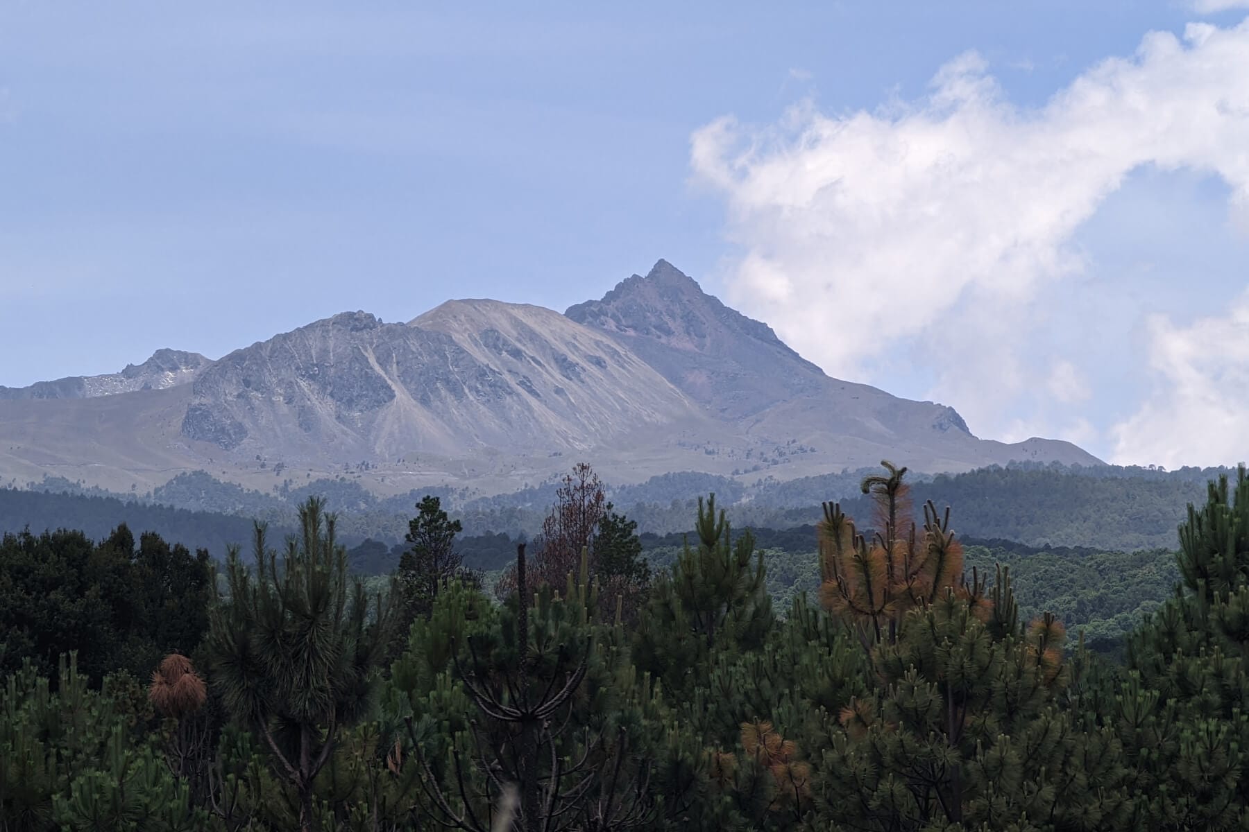 Mexico mountain and cactus