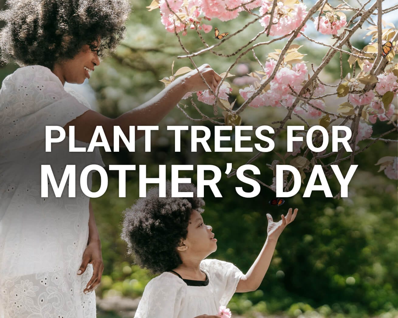 Plant Trees for Mother's Day