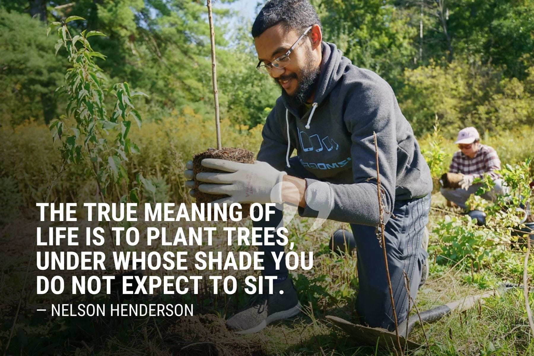 Inspirational Quotes About Trees - One Tree Planted