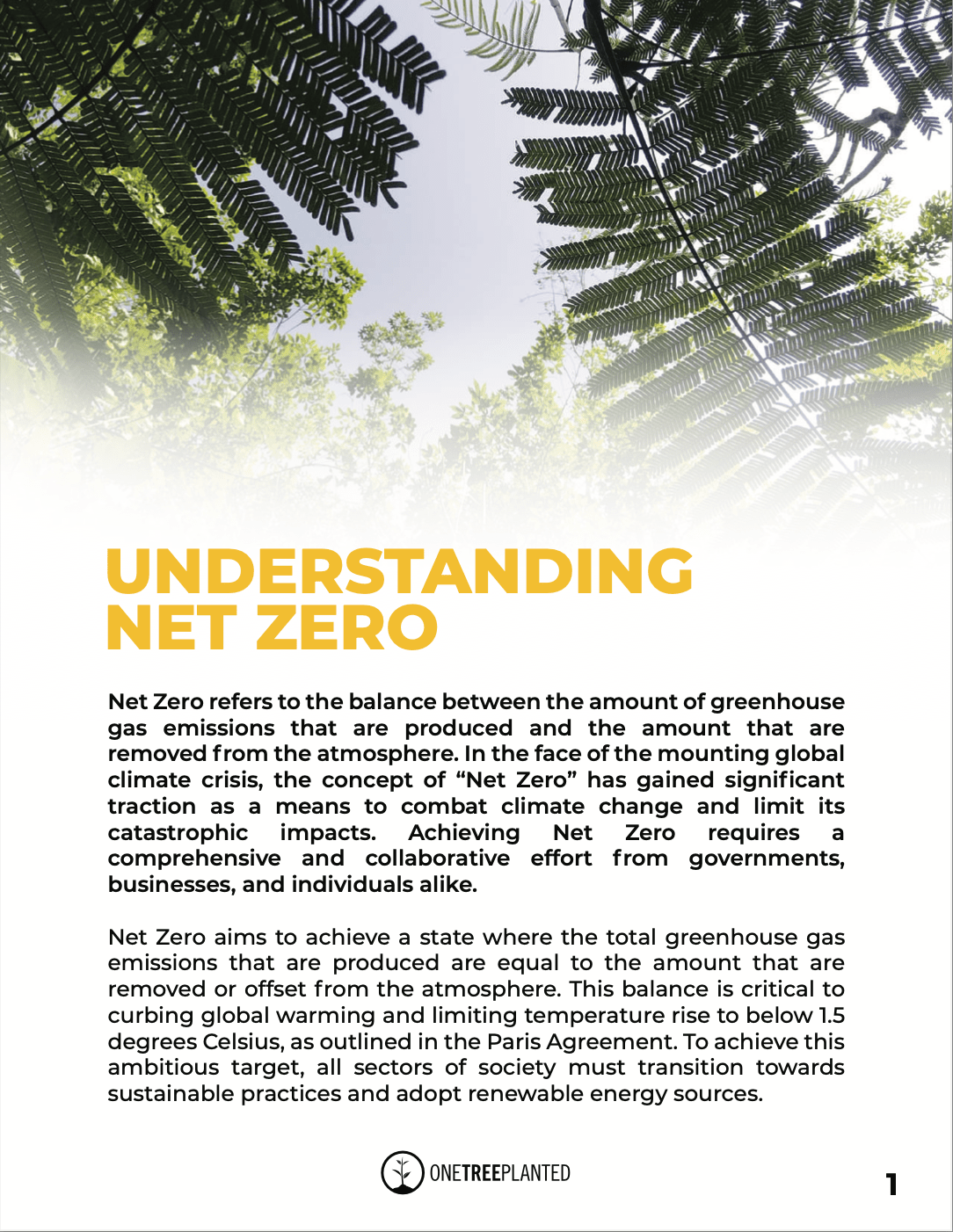 Reaching Your 2030 Net Zero Targets | One Tree Planted