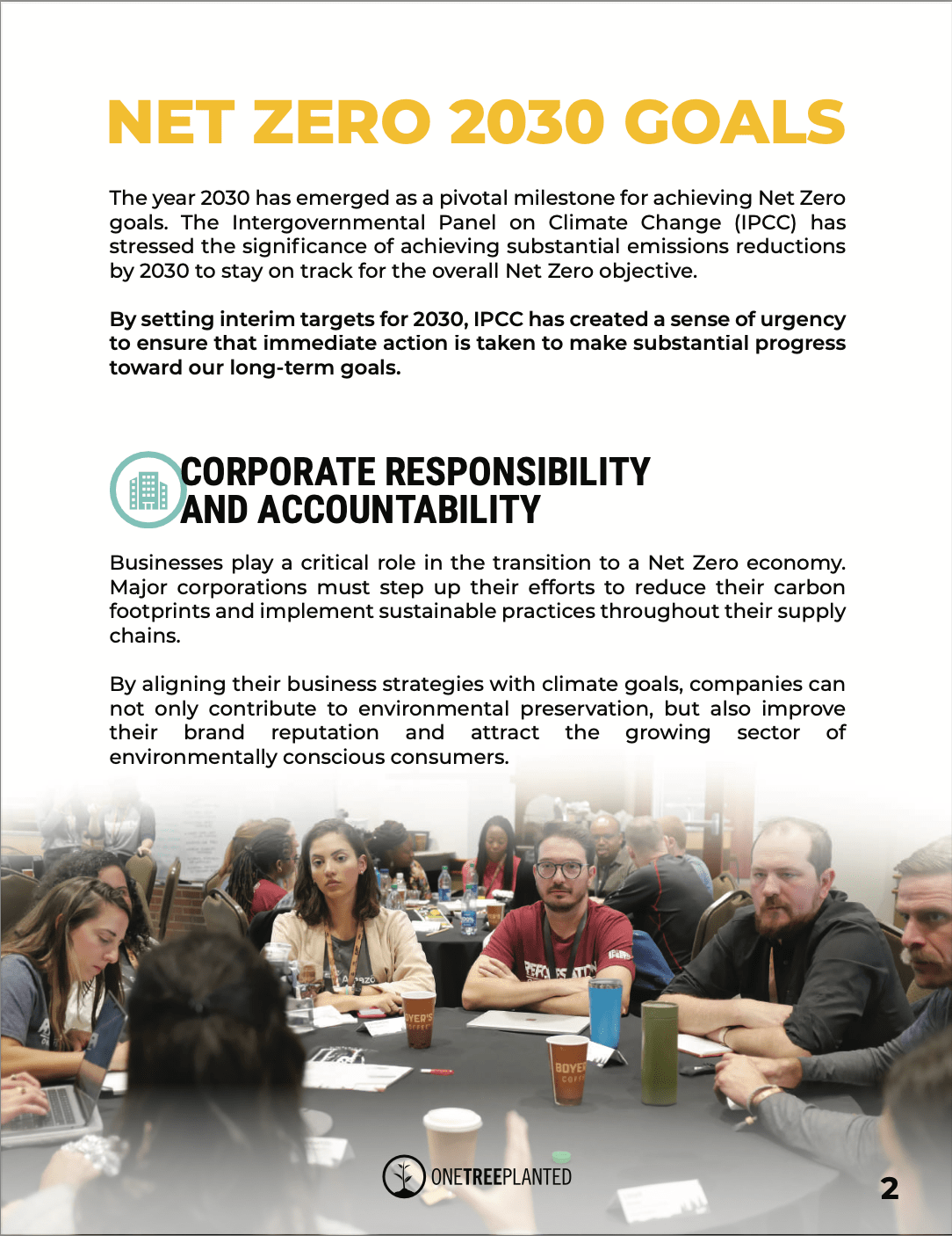 Reaching Your 2030 Net Zero Targets | One Tree Planted