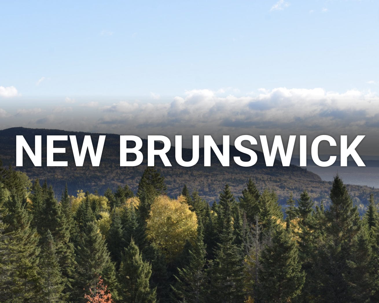 New Brunswick main