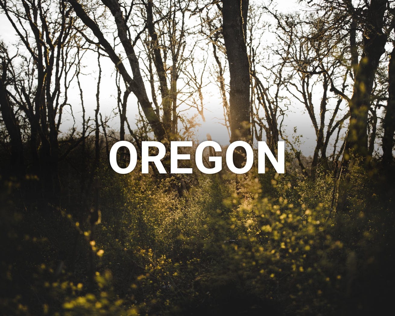 Oregon main image