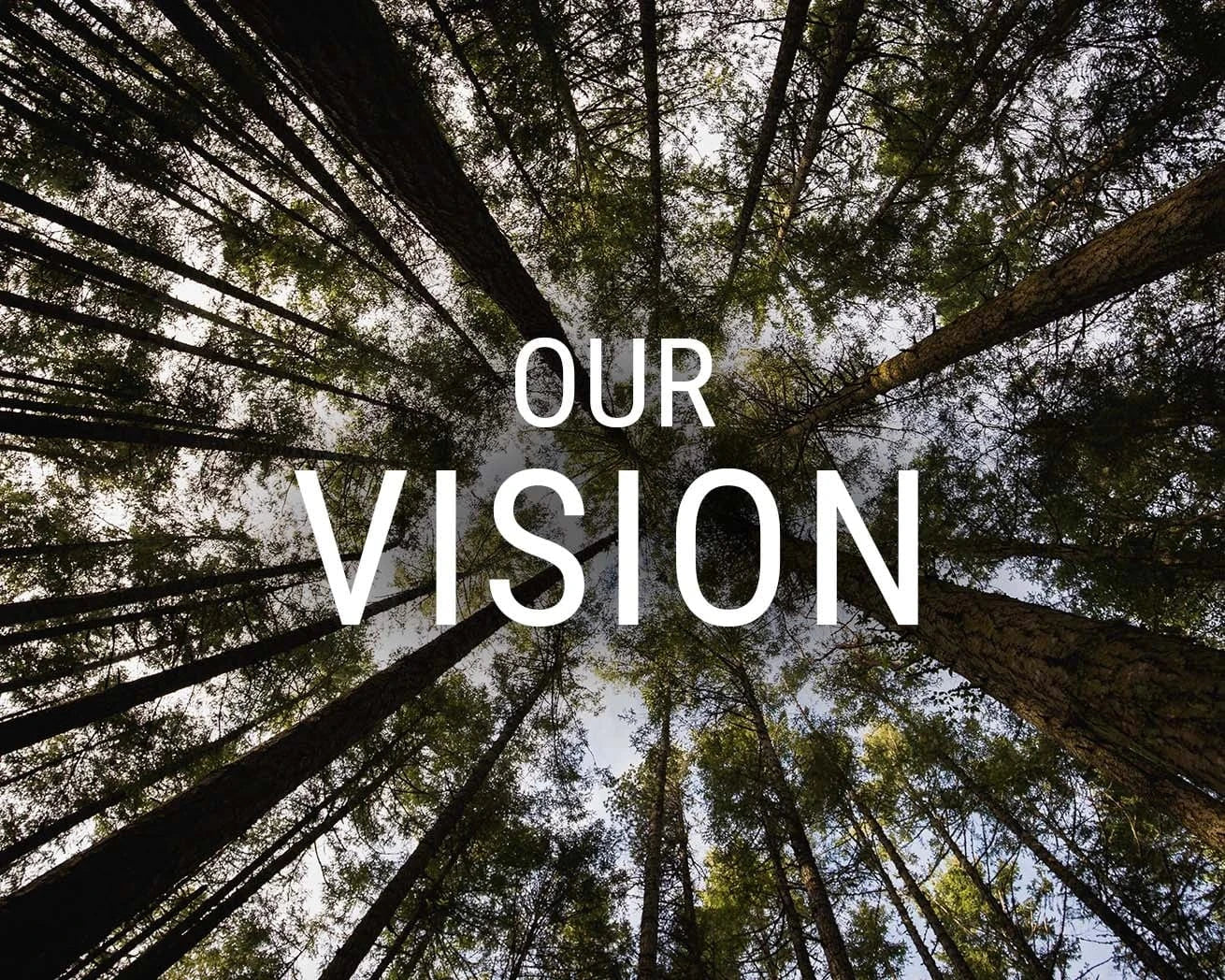 Why Plant Trees | One Tree Planted