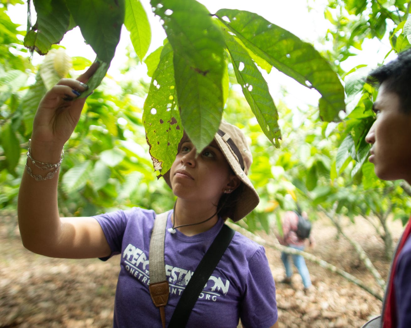 Tree planters in Peru