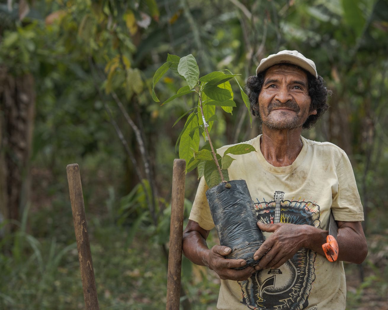 Tree planter holding sapling