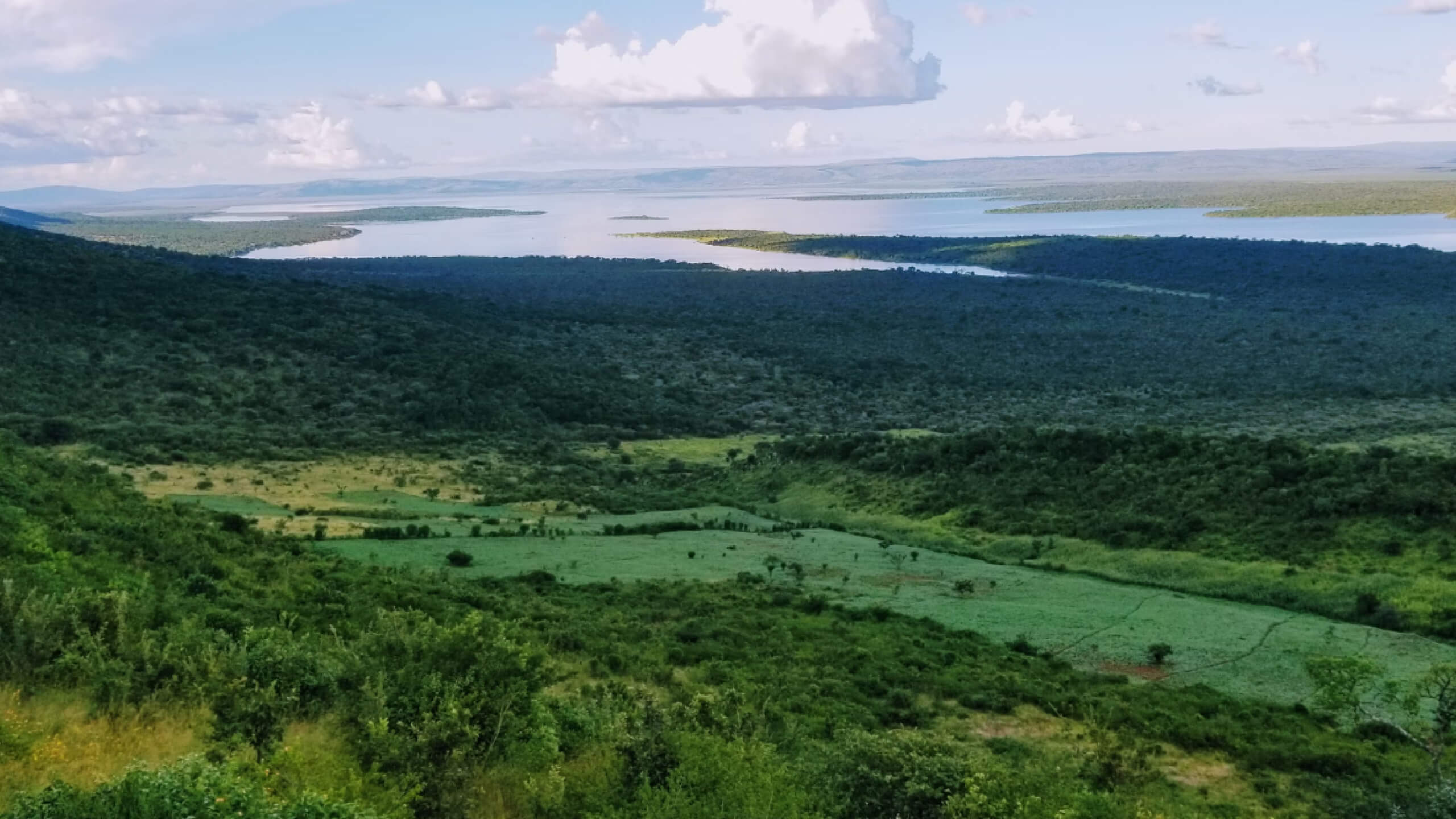 Rwanda landscape