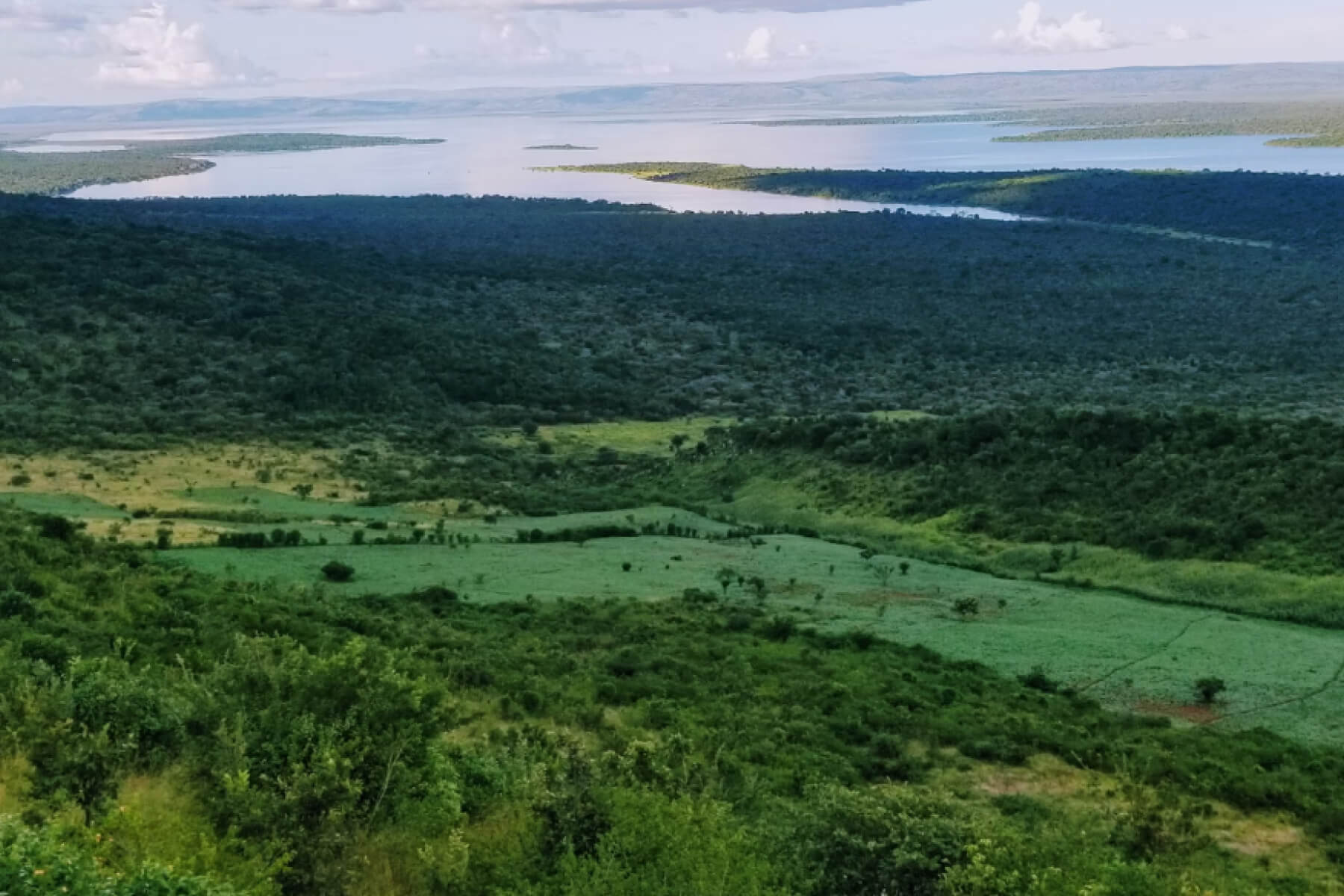 Rwanda landscape