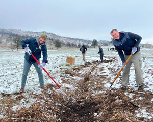 Snowy tree plantingsite
