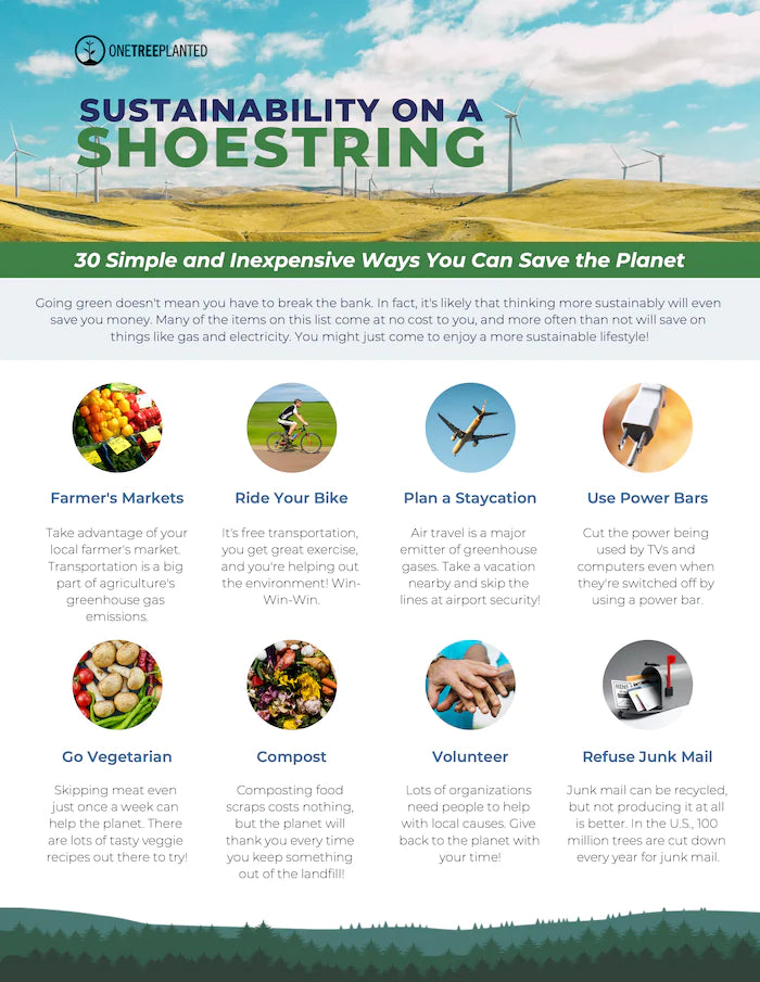 Sustainability on a shoestring GUIDE