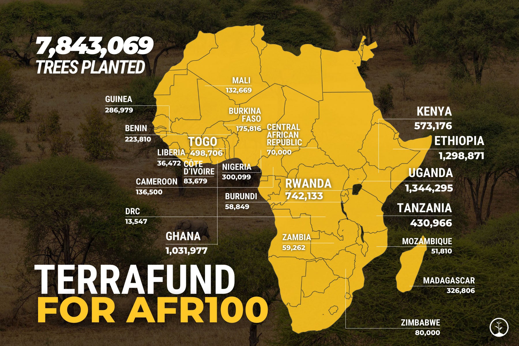Terrafund for AFR100 Map 2023 Impact Report