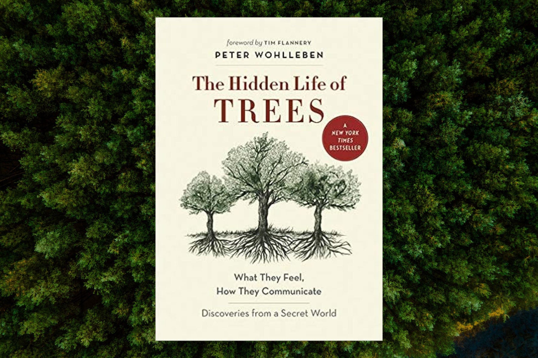 24 Best Books About Nature and Trees - One Tree Planted