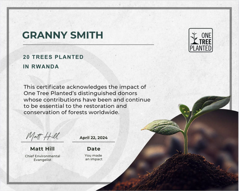 Plant Trees in Rwanda | One Tree Planted
