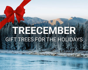 Treecember main