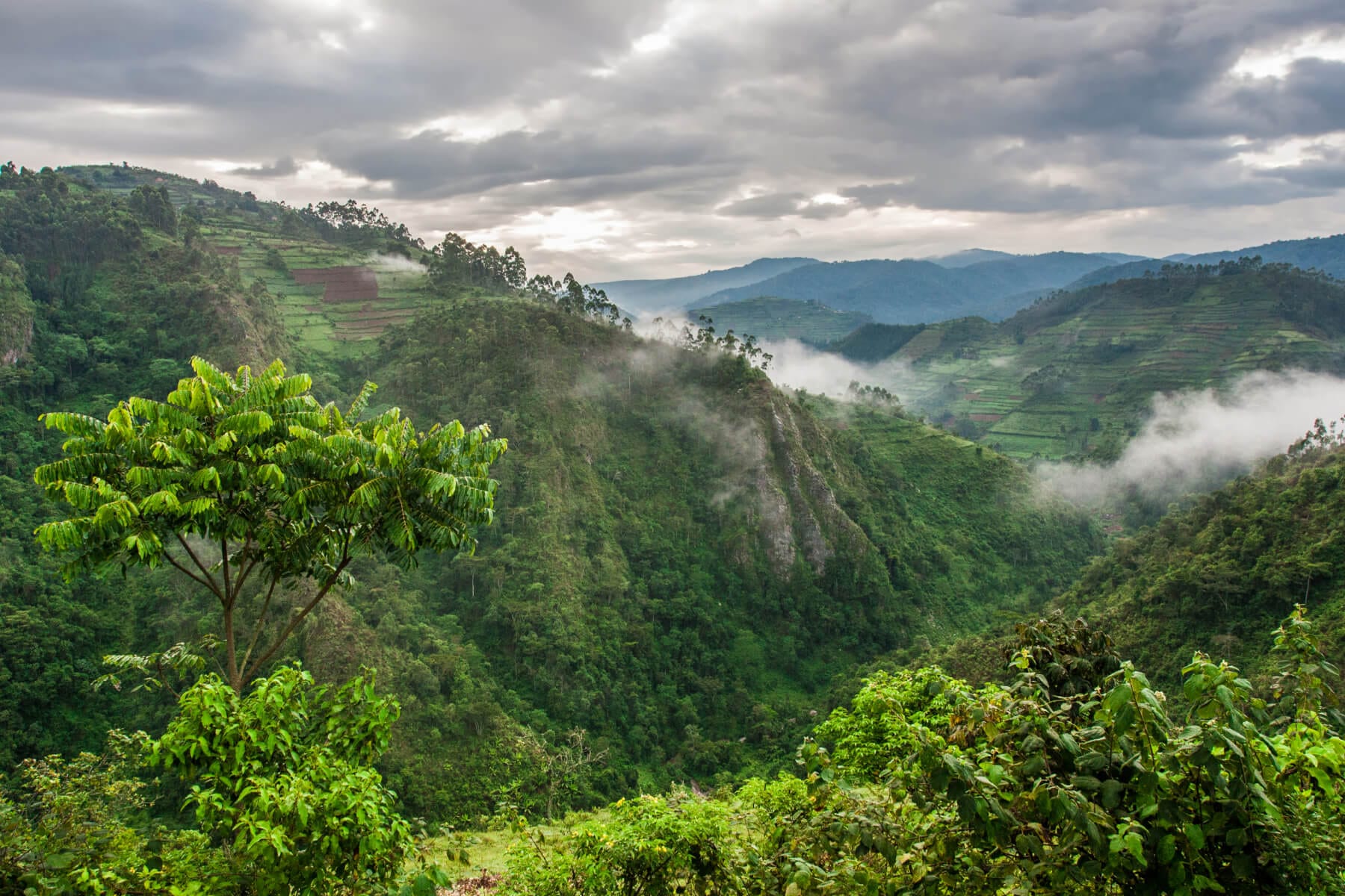 Uganda valley