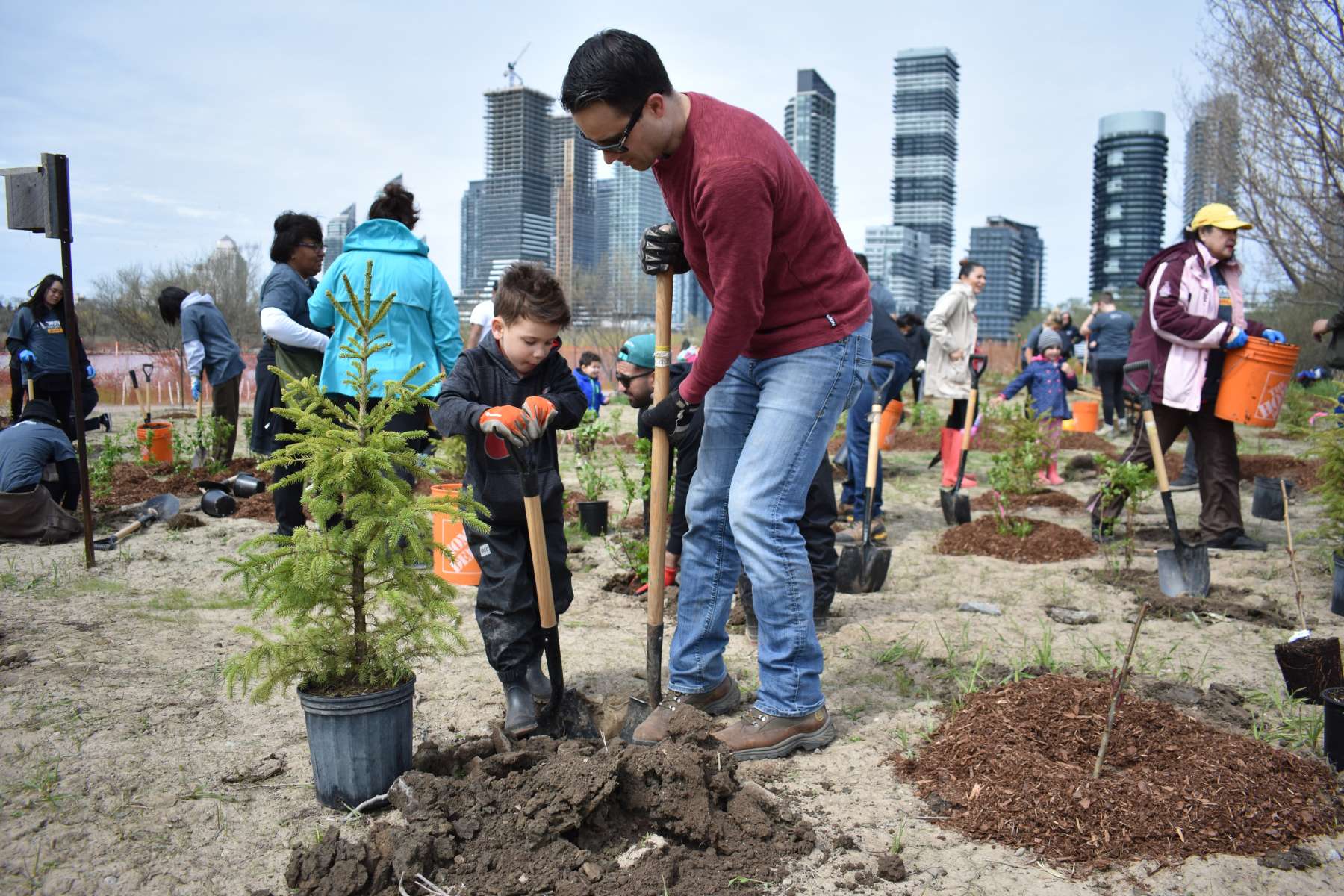 8 Reasons to Plant Trees in Cities - One Tree Planted