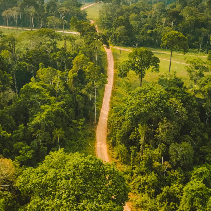 Regenerative Giving