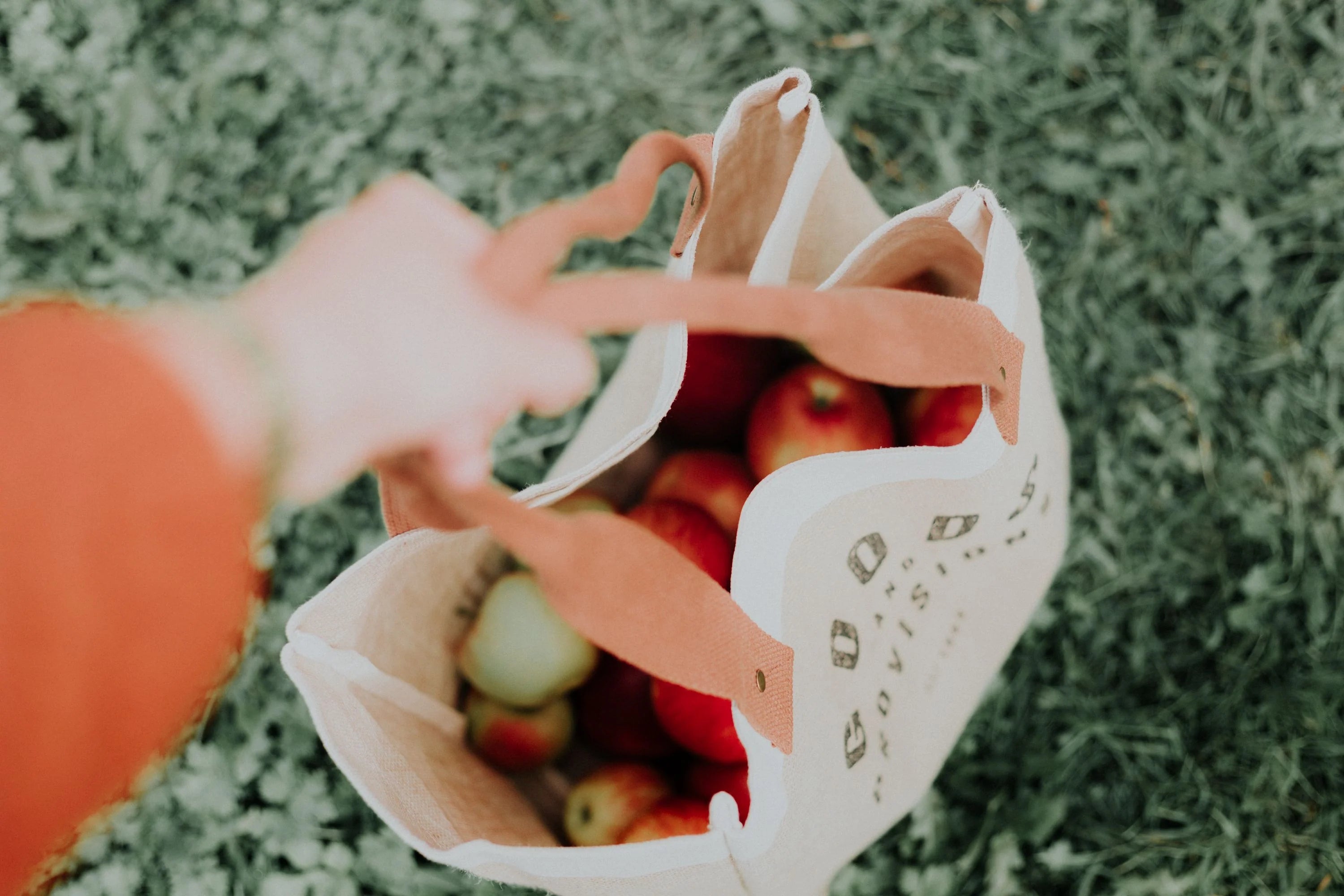 apples in sustainable shopping bag