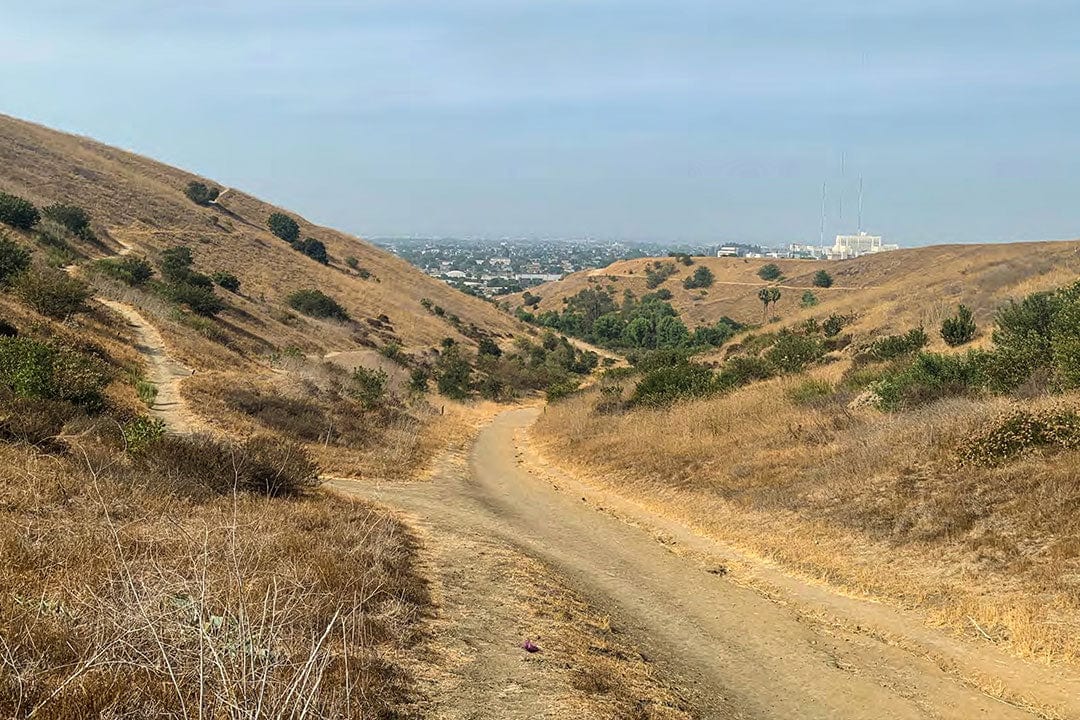 Ascot Hills Wildfire Resilience