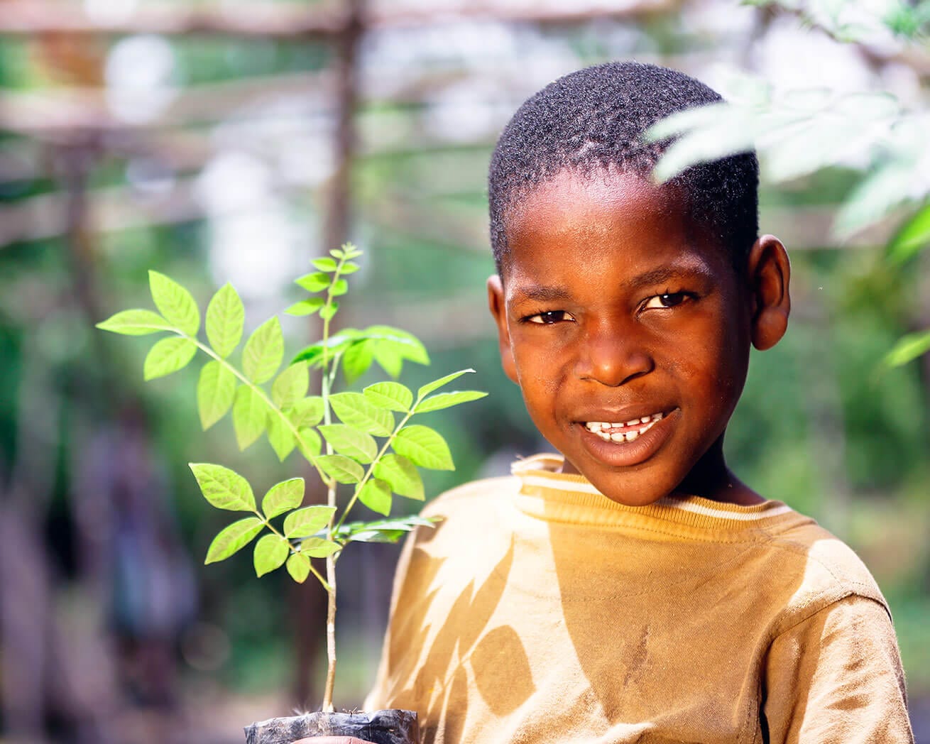Child holding sapling in Haiti