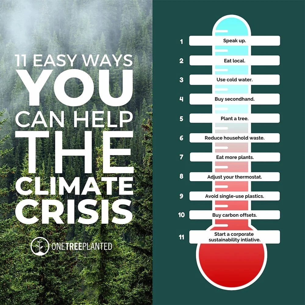 Help With Climate Change 11 Easy Ways to Help the Climate Crisis - One Tree Planted