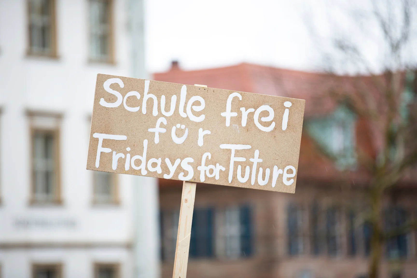 climate protest sign FridaysForFuture