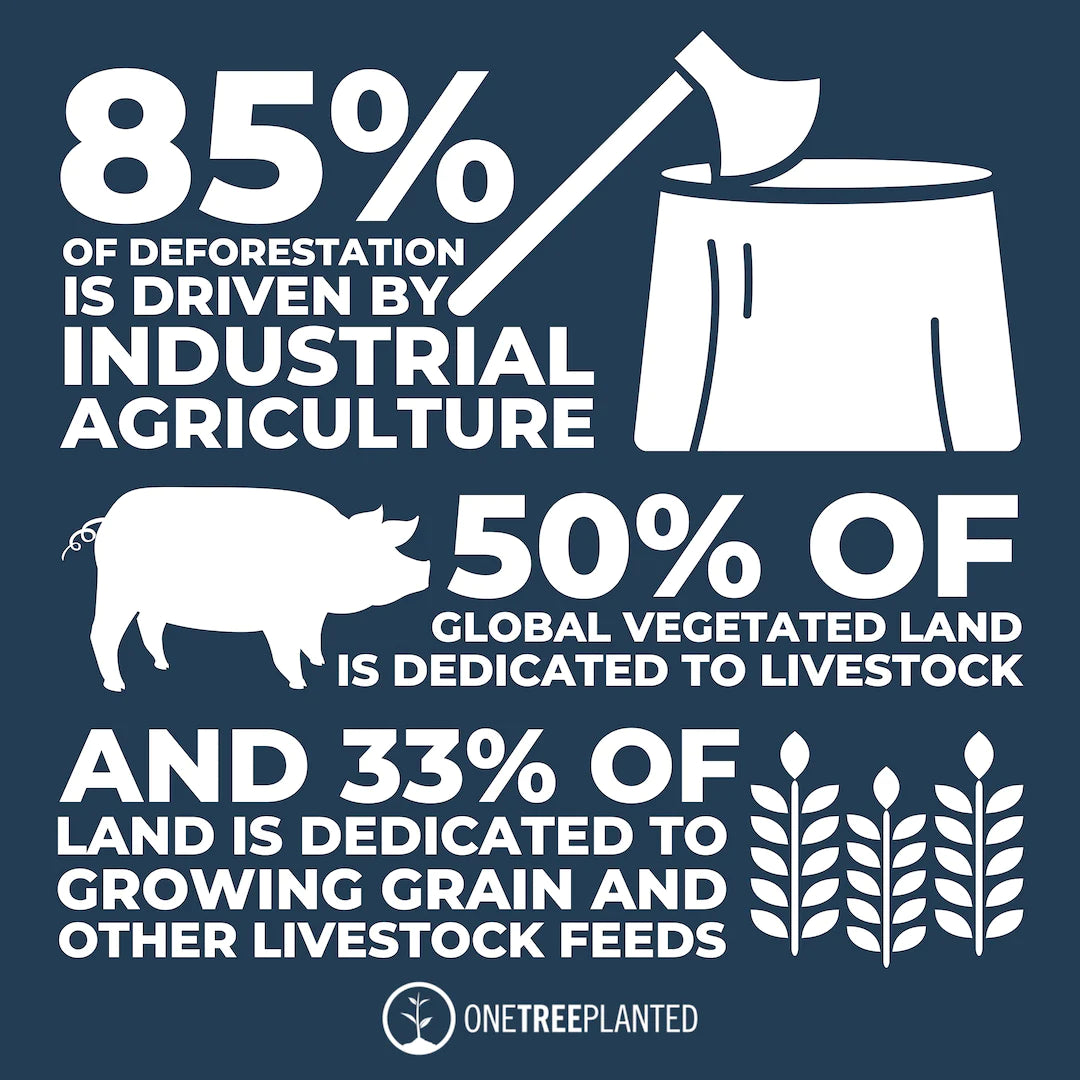 deforestation industrial agriculture impacts