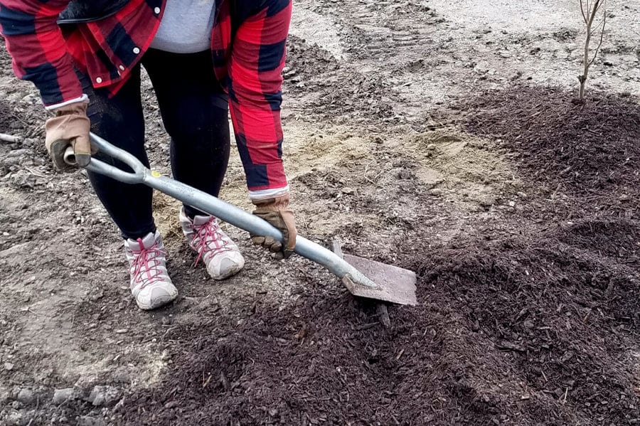 diggingaholetoplantatree.jpg?v=1690900635