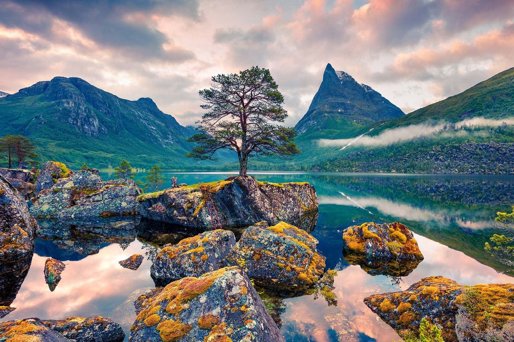 From Leafy Portraits to Majestic Mountains: Nature's Glamour Shots