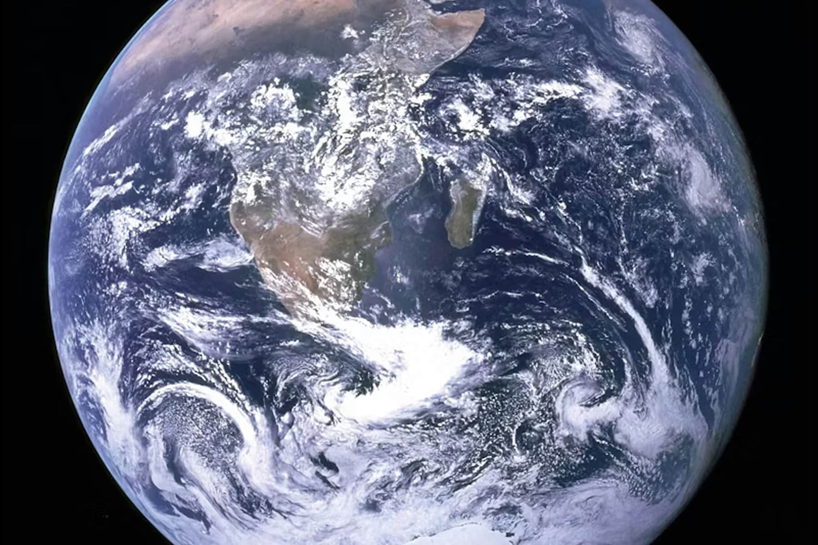 Plant Trees for Earth Day