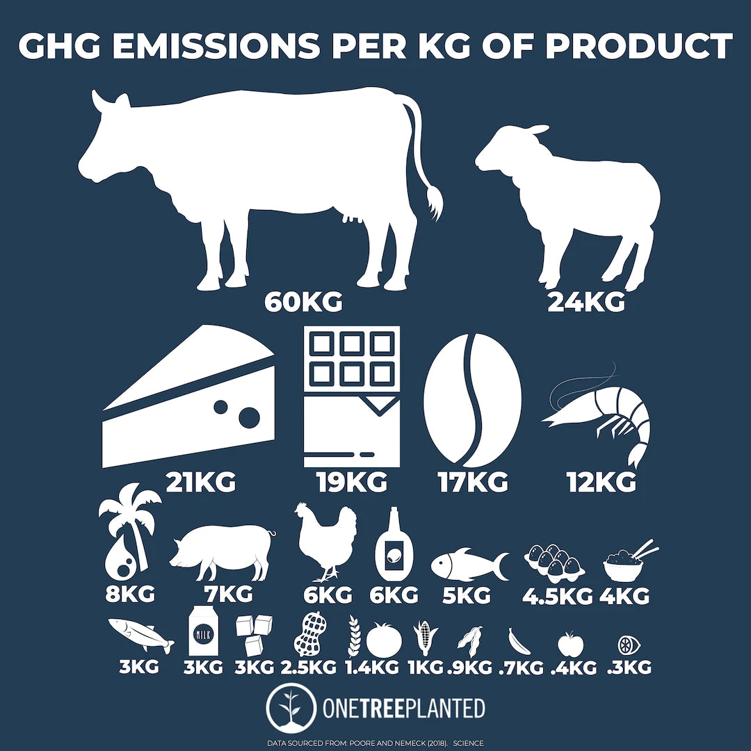 emissions per kilogram agriculture