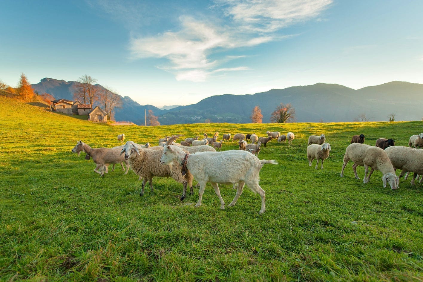 Good News! 30 Positive Environmental News Stories From 2024 7 Good News! 30 Positive Environmental News Stories From 2024 7