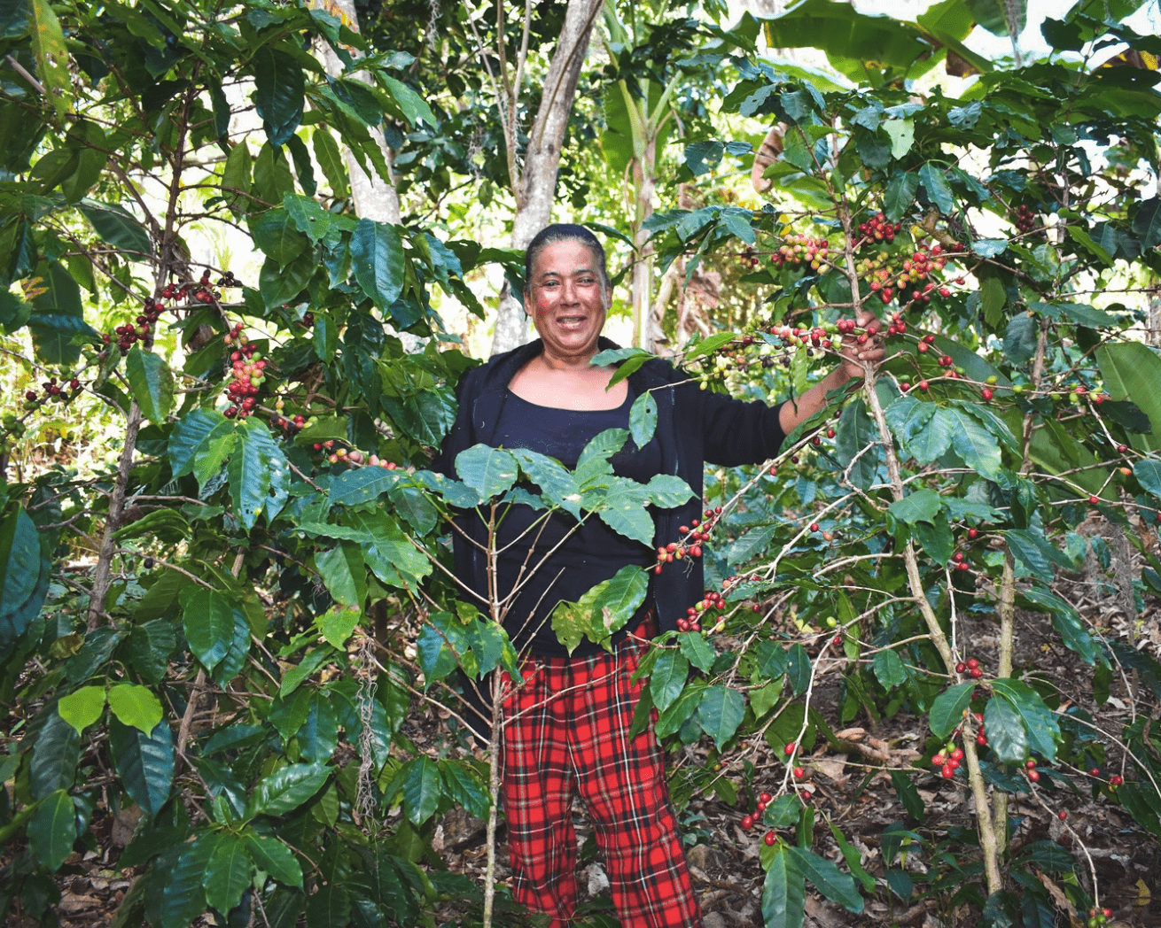 gender equity in Dominican Republic