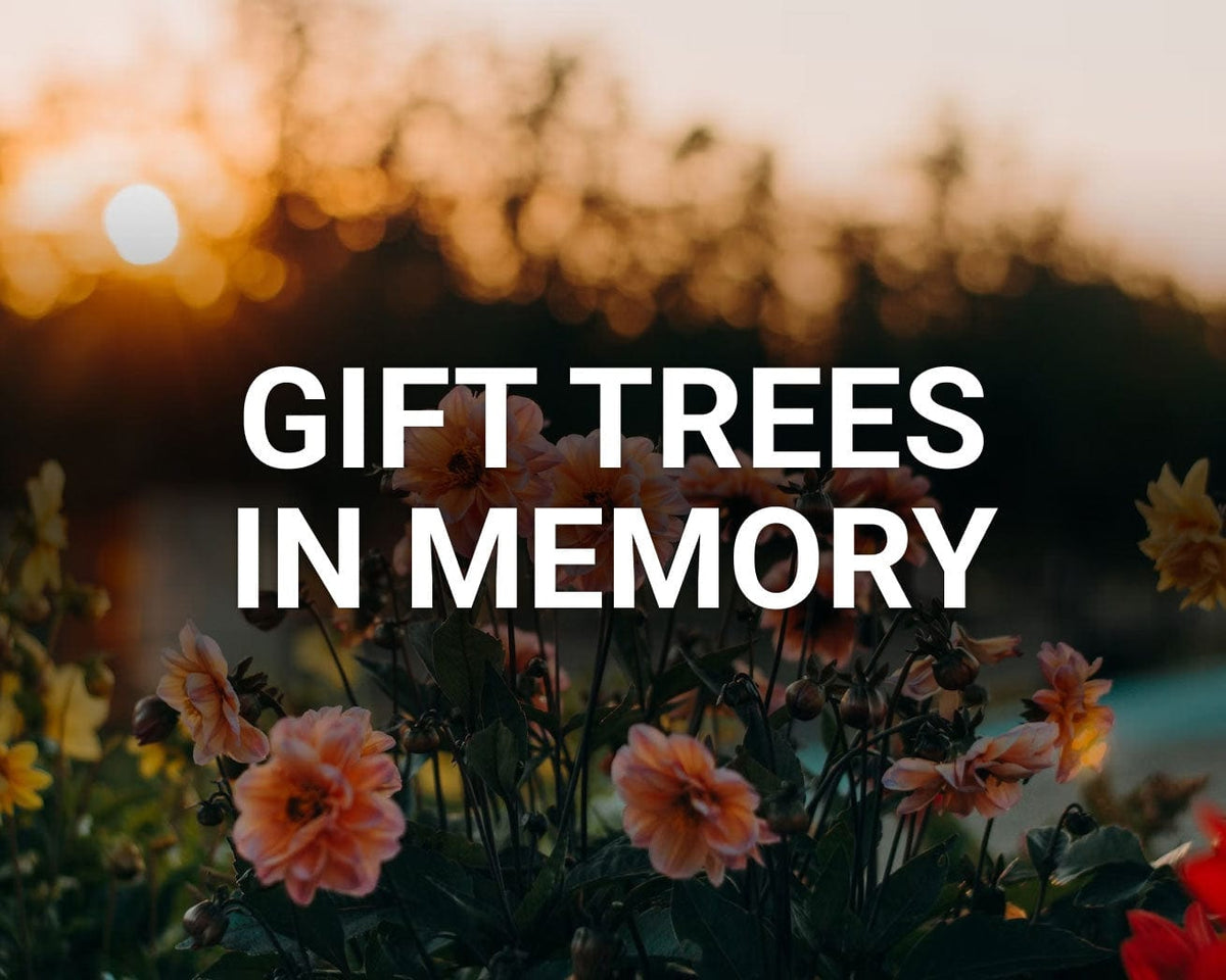 Gift trees in memory