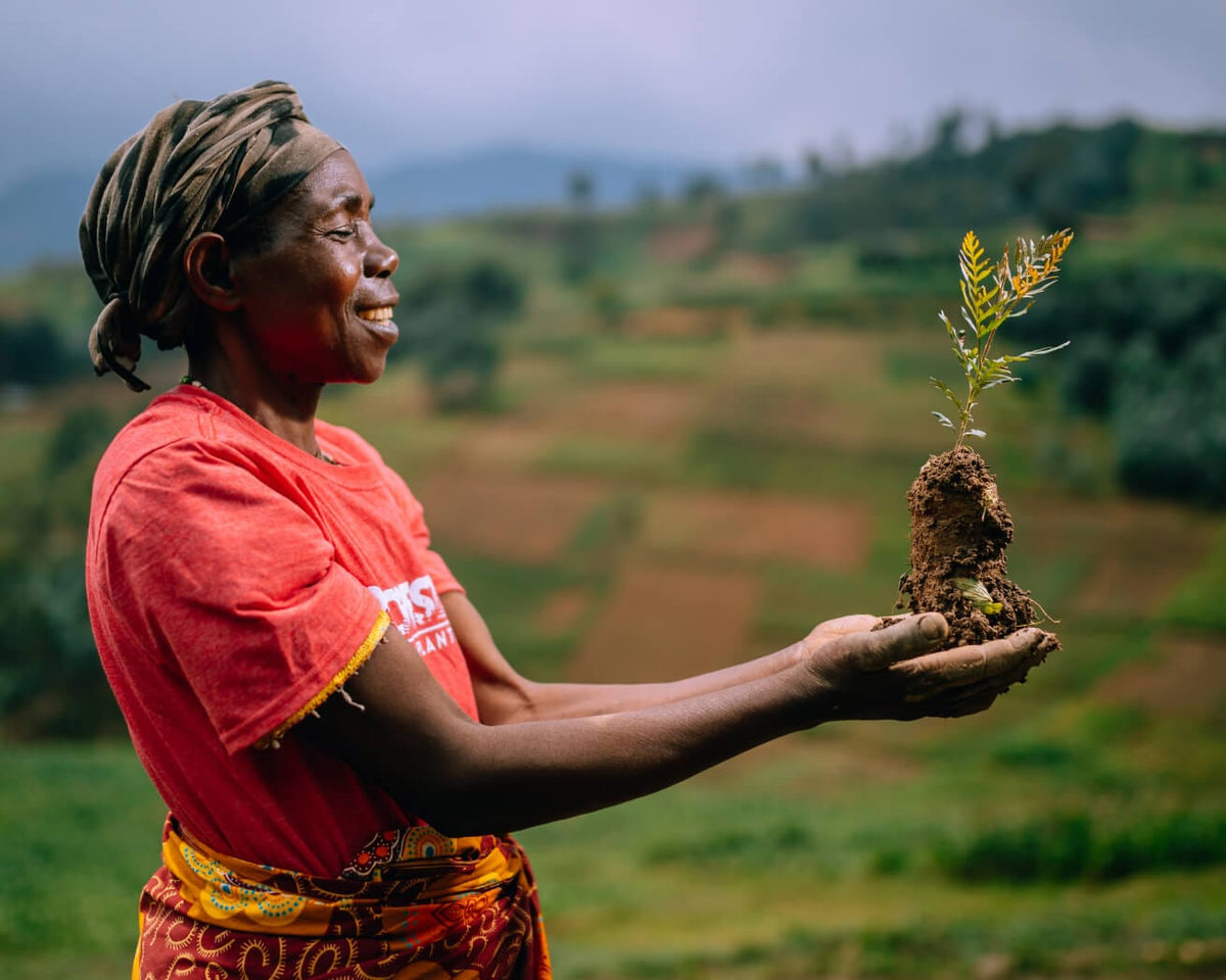 Gift Trees | One Tree Planted