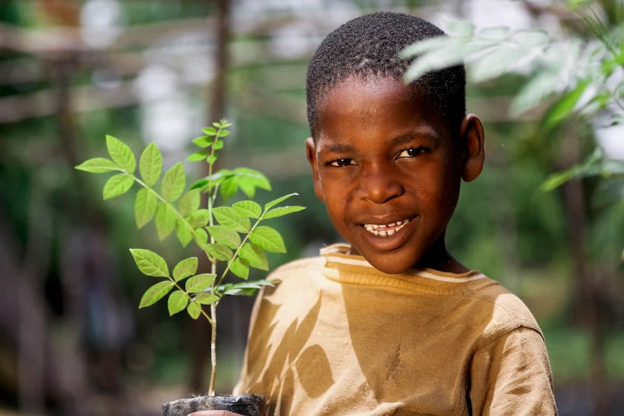 haiti tree seedling child