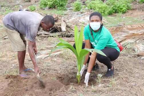 man and women planting tree