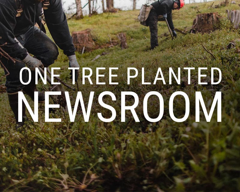 Individuals | Help the Environment | One Tree Planted