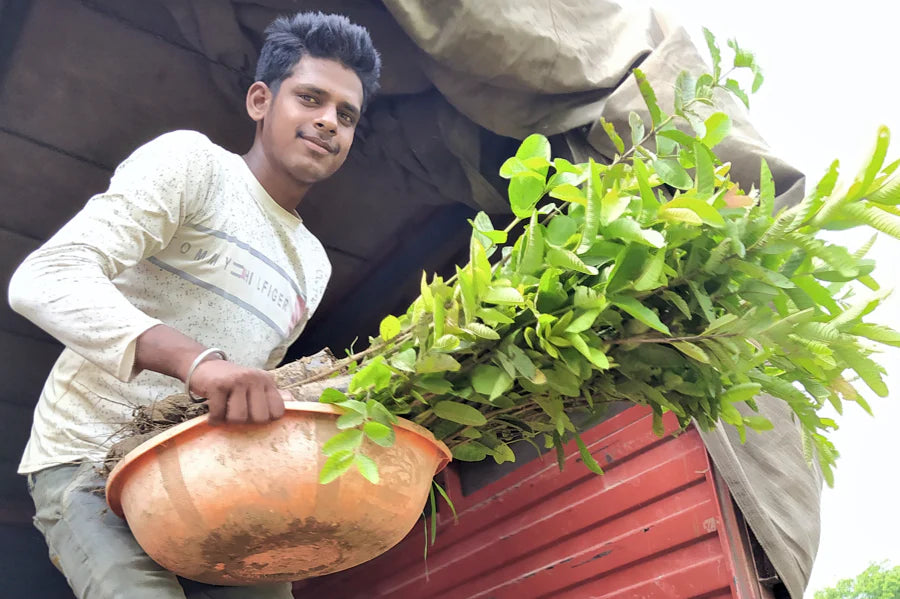 odisha young man cyclone fani restoration